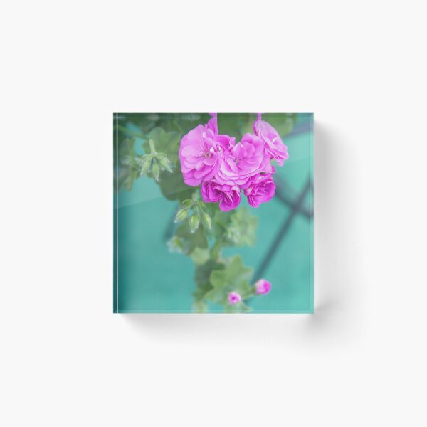 Item preview, Summer morning, pink pelargonium bloom designed and sold by Daridara.