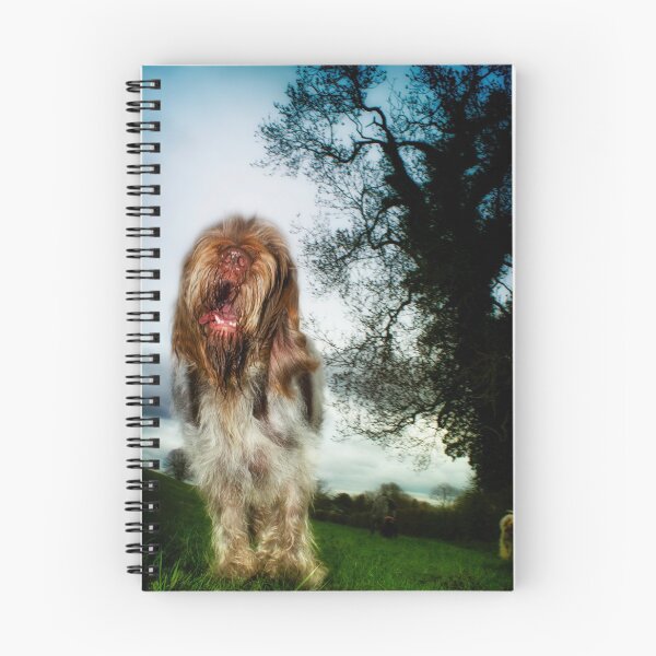 Item preview, Chatty Spinone by heidiannemorris designed and sold by FOLK ART FUSION.