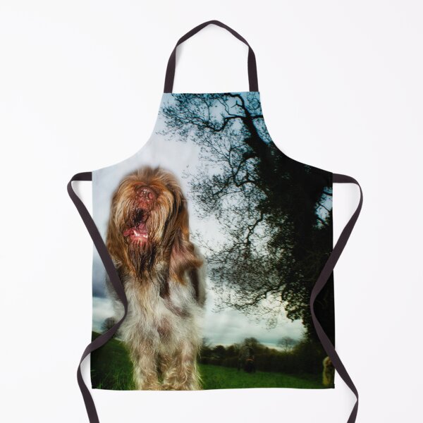 Item preview, Chatty Spinone by heidiannemorris designed and sold by FOLK ART FUSION by heidiannemorris.