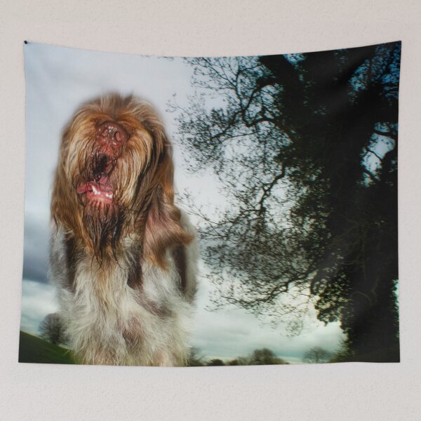 Item preview, Chatty Spinone by heidiannemorris designed and sold by FOLK ART FUSION by heidiannemorris.