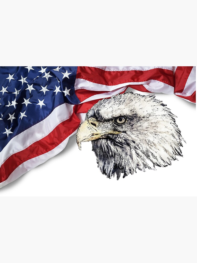 American Flag Eagle Flag USA flag Poster for Sale by michisway