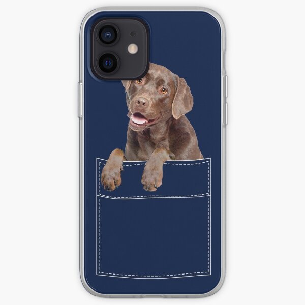 Frank Iphone Case Cover By Brookshawphoto Redbubble