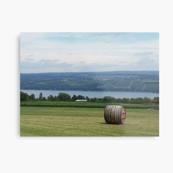 Now That's a View! Metal Print