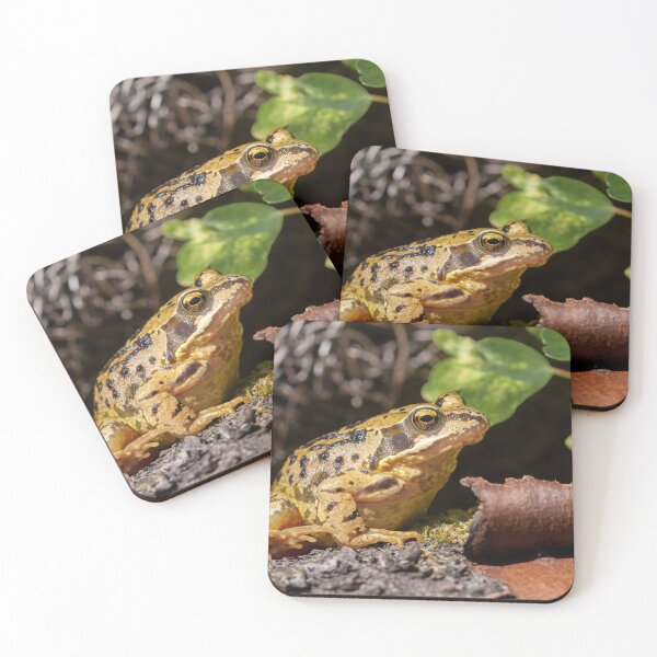 Item preview, Common UK frog in unusual yellow colour designed and sold by simonbratt.