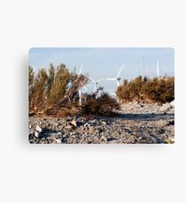 Dry Brush Canvas Print