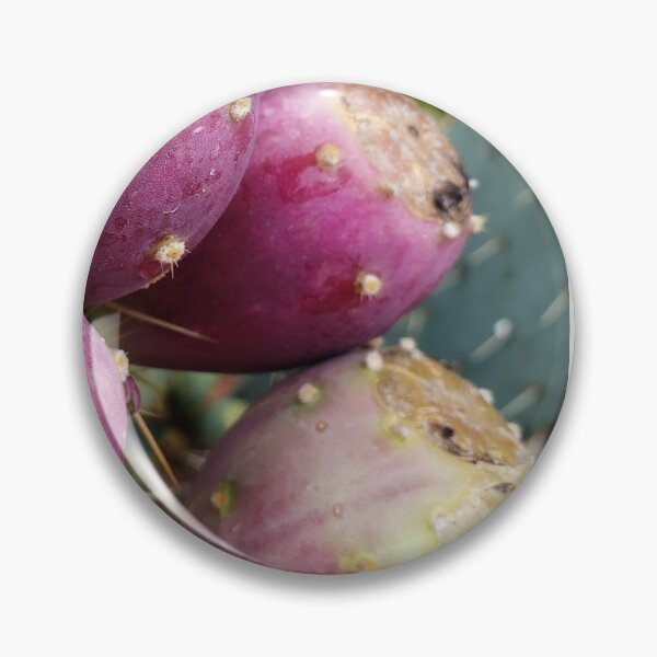 Item preview, "Sweet inside" prickly pear fruits designed and sold by themuseinspired.