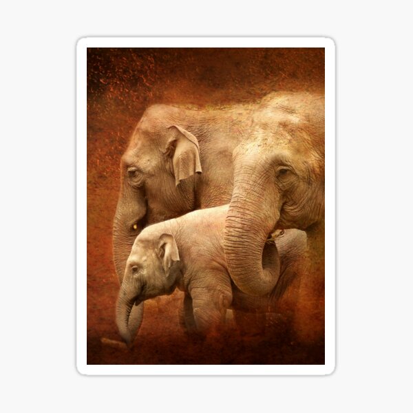 Three generations Sticker