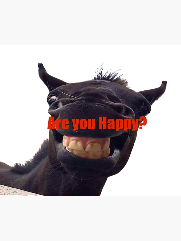 "Are you Happy?" Poster by salle47 Redbubble