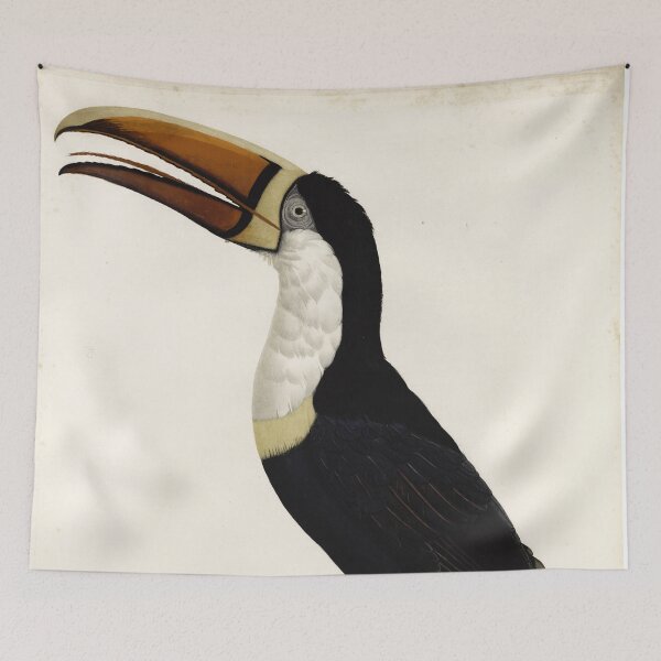 Item preview, Vintage french bird illustration - Jacques Barraband - Le Cocan à collier jaune designed and sold by Gardenlibrary.