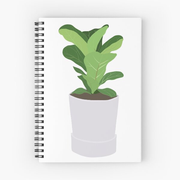Item preview, Potted Dwarf Fiddle Fig  designed and sold by Annie Clay.