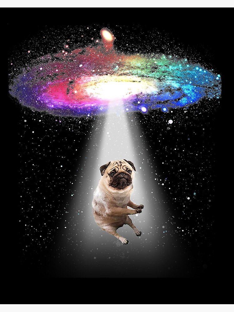 Space Pug Galaxy Funny Pug T-Shirt Space Pug Galaxy Funny Pug T-Shirt