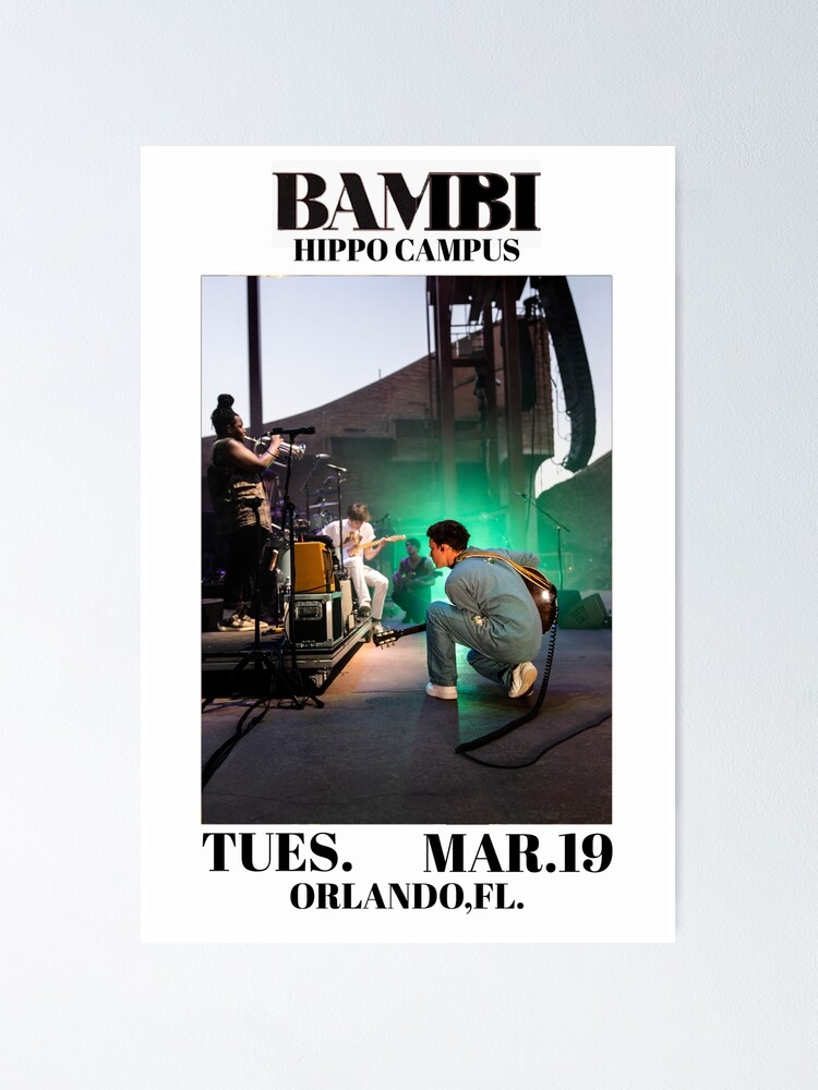 hippo campus bambi tour merch