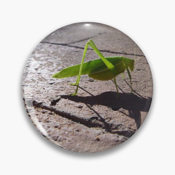 Item preview, The Forgotten Grasshopper designed and sold by robertemerald.