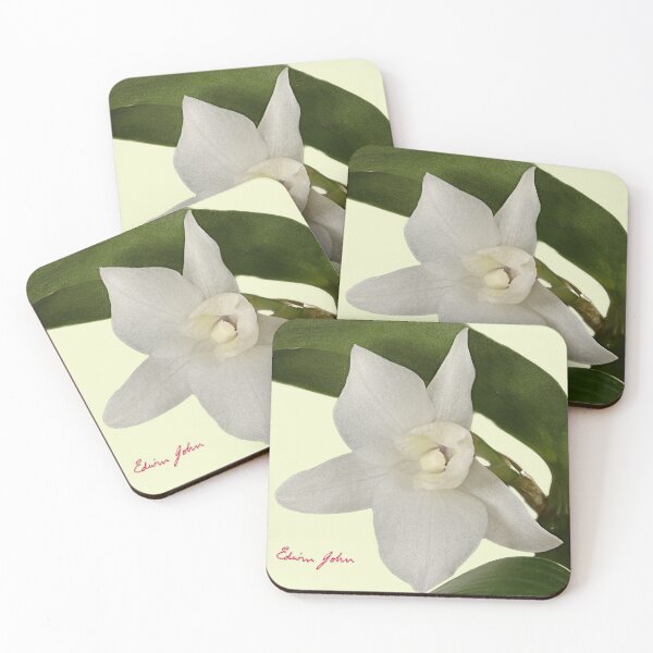Item preview, Single White Dendrobium Orchid by John Edwin Skelton designed and sold by EdwinJohn.