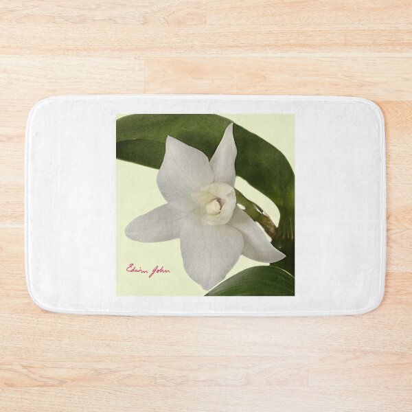 Item preview, Single White Dendrobium Orchid by John Edwin Skelton designed and sold by EdwinJohn.
