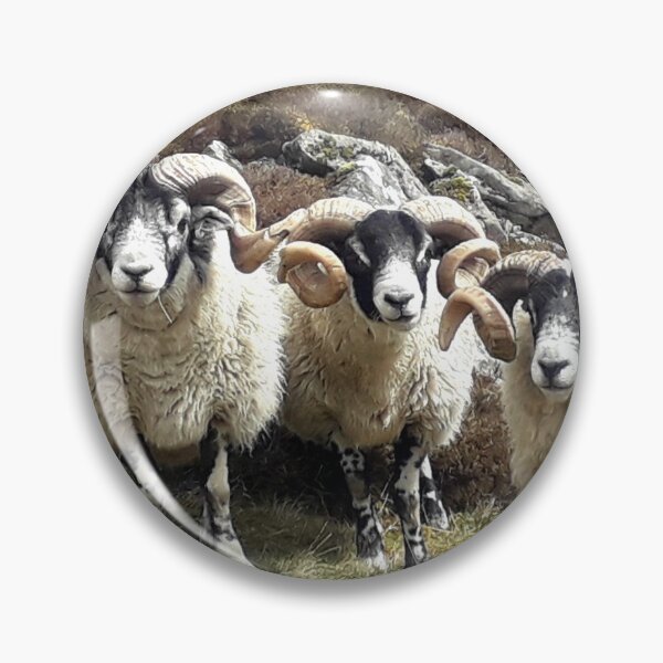 Item preview, The Moffat Rams designed and sold by beavo.