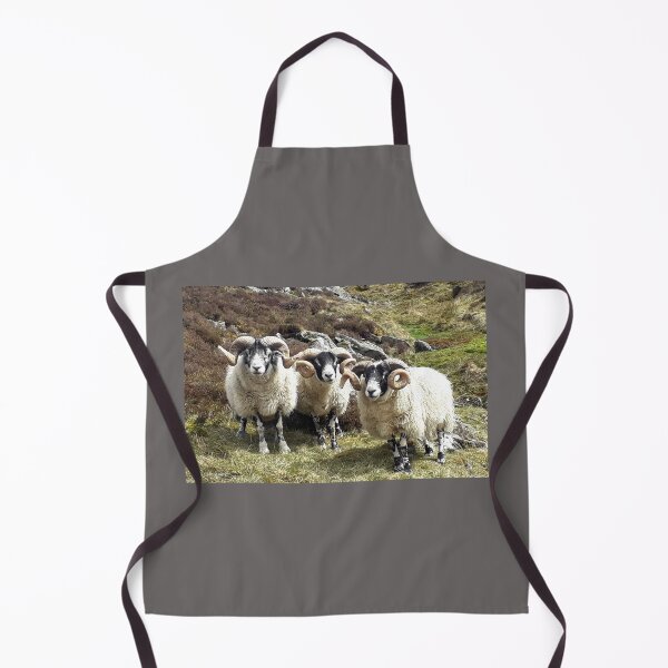Item preview, The Moffat Rams designed and sold by beavo.