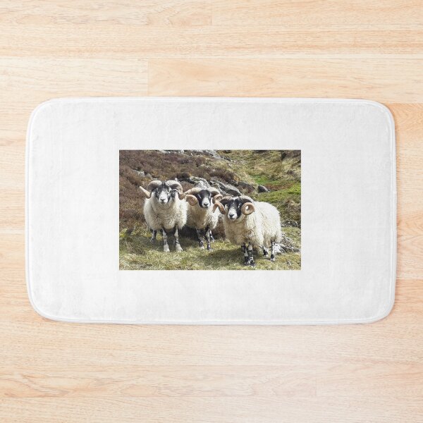 Item preview, The Moffat Rams designed and sold by beavo.