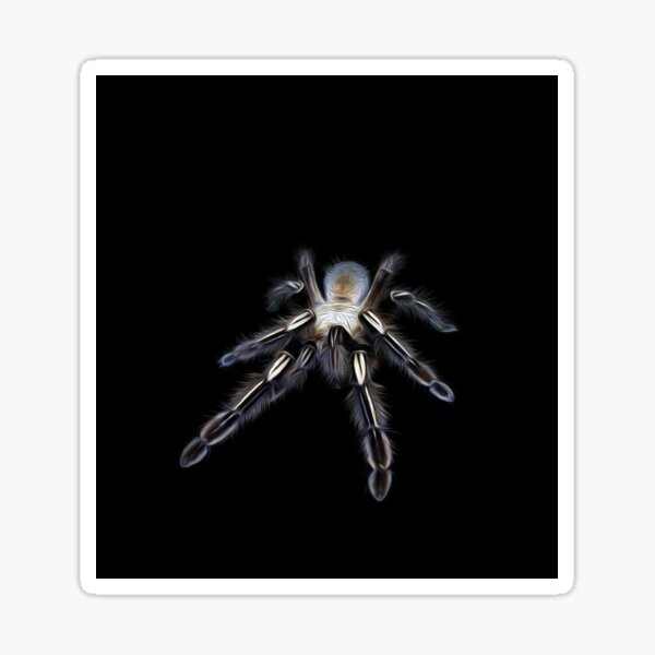 Item preview, TARANTULA  designed and sold by johnnyssandart.