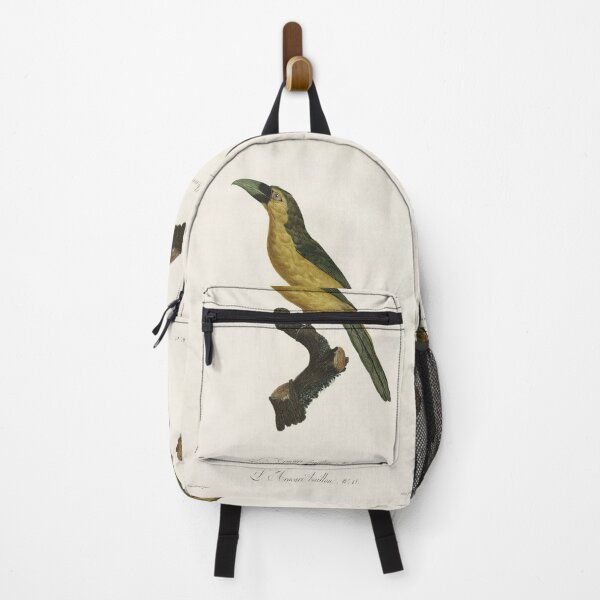 Item preview, Vintage french bird illustration - Jacques Barraband - L Aracari baillon designed and sold by Gardenlibrary.