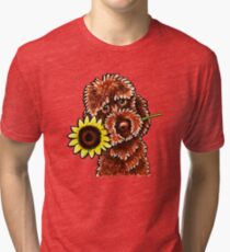 Sunny Chocolate Labradoodle Tri-blend T-Shirt