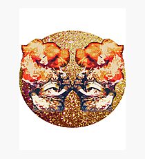 Bjork - Biophilia Photographic Print