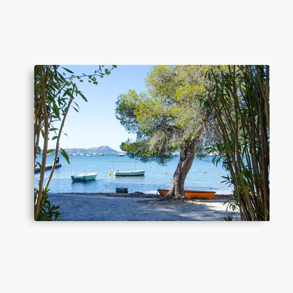 Puerto Pollensa Pine Walk 1 Canvas Print