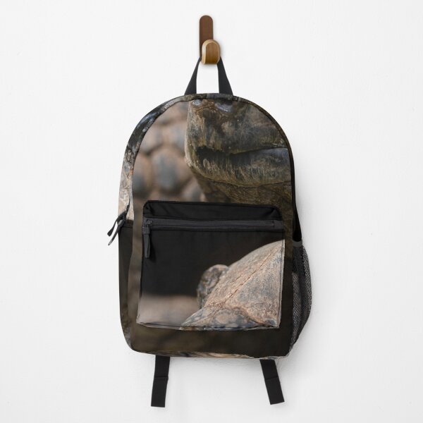 Item preview, Giant Aldabra Tortoise Close-Up designed and sold by rawshutterbug.