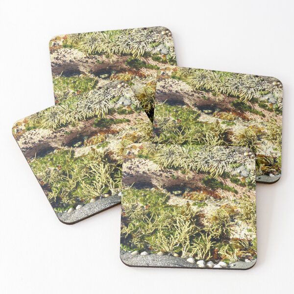 Item preview, Australian Rockpool by the Ocean designed and sold by Manic-Spider.