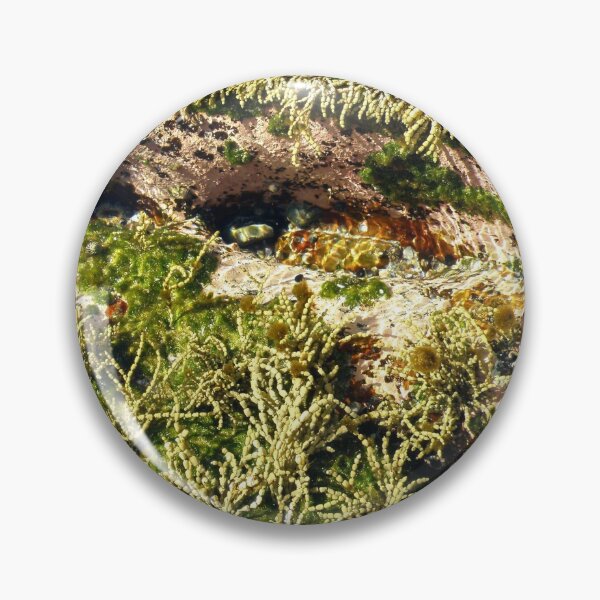 Aperçu de l'œuvre Australian Rockpool au bord de l'océan créée et vendue par Manic-Spider.