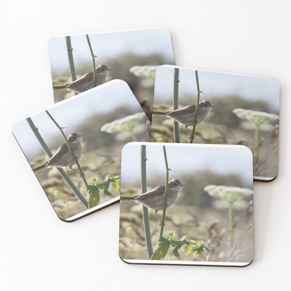Item preview, Whitethroat designed and sold by LaurenTucker.