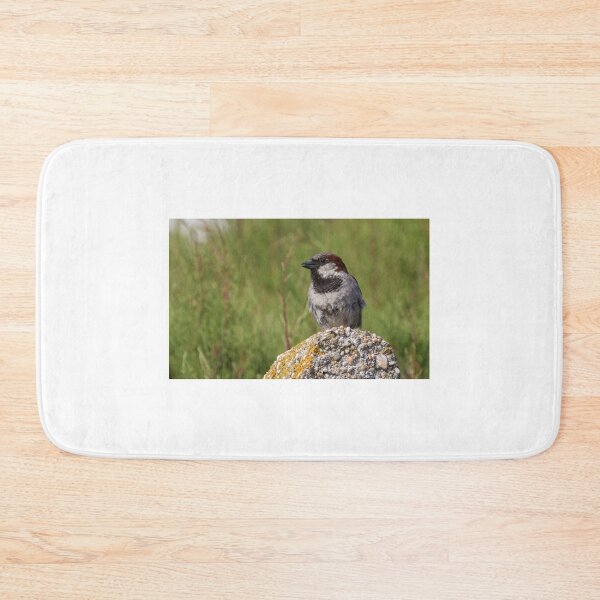 Item preview, House Sparrow designed and sold by LaurenTucker.