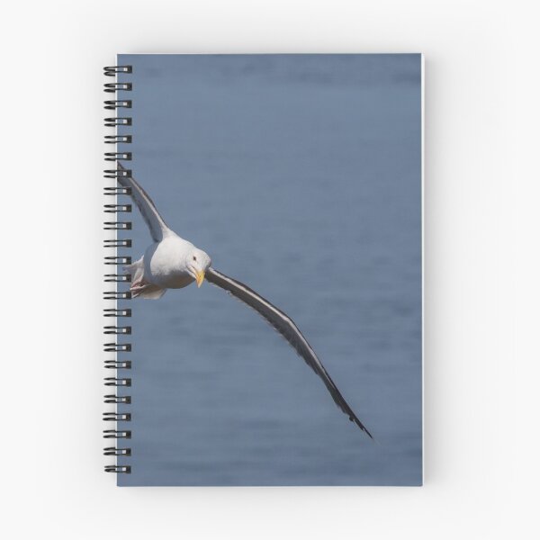 Item preview, Great Black Blacked Gull designed and sold by LaurenTucker.
