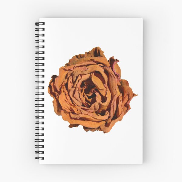Item preview, The withered rose designed and sold by The Iconic Minimalist.