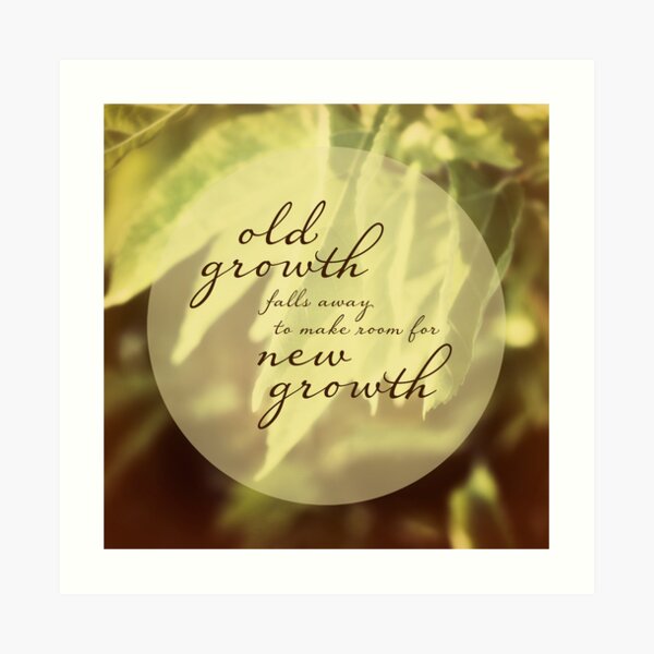 old growth Art Print