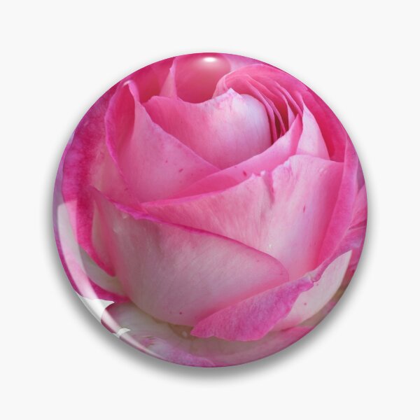 Item preview, Pink Rose designed and sold by robspencer.