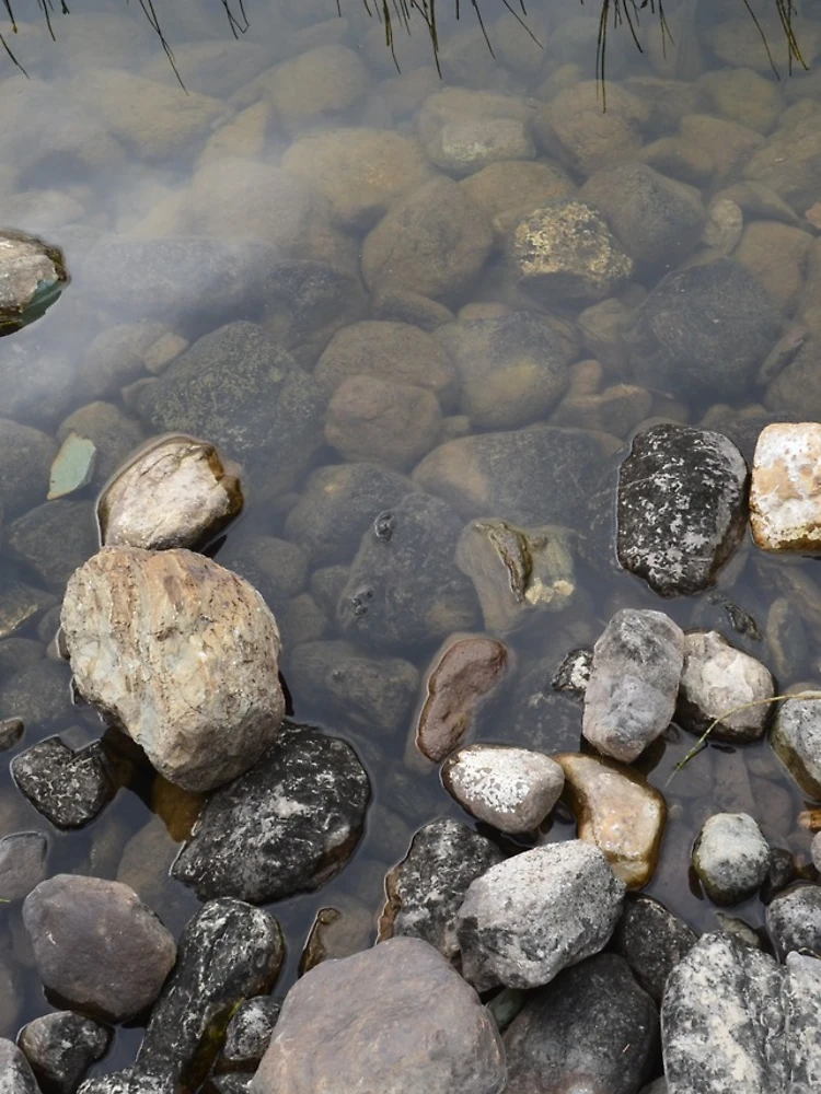 Thumbnail 4 of 4, Samsung Galaxy Phone Case, Calm Riverside Rocks designed and sold by parest.