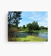 East Harbor State Park - Algae Bloom Canvas Print