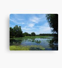 East Harbor State Park - Scenic Overlook Canvas Print