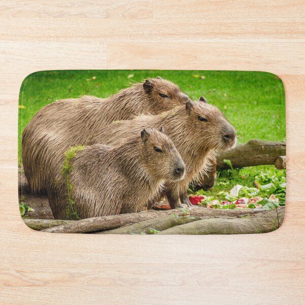 Item preview, Cute Capybaras designed and sold by pugmom4.
