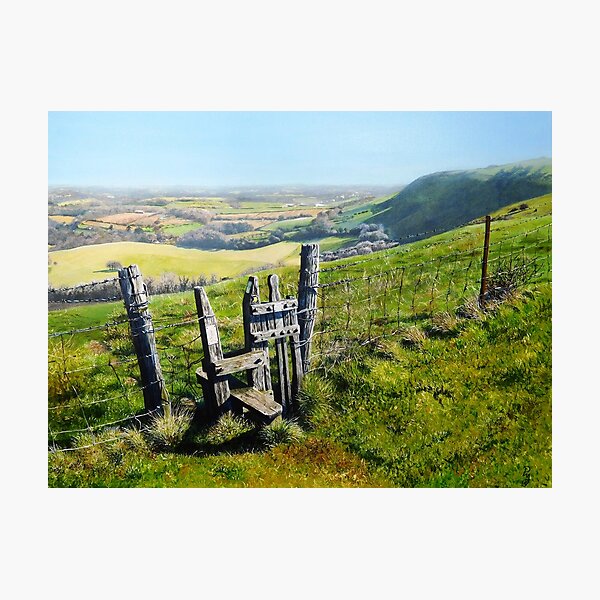 Sussex Stile Photographic Print