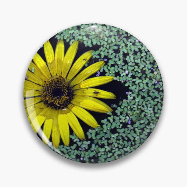 Yellow Flower in Duckweed with Three Little BUGS Pin