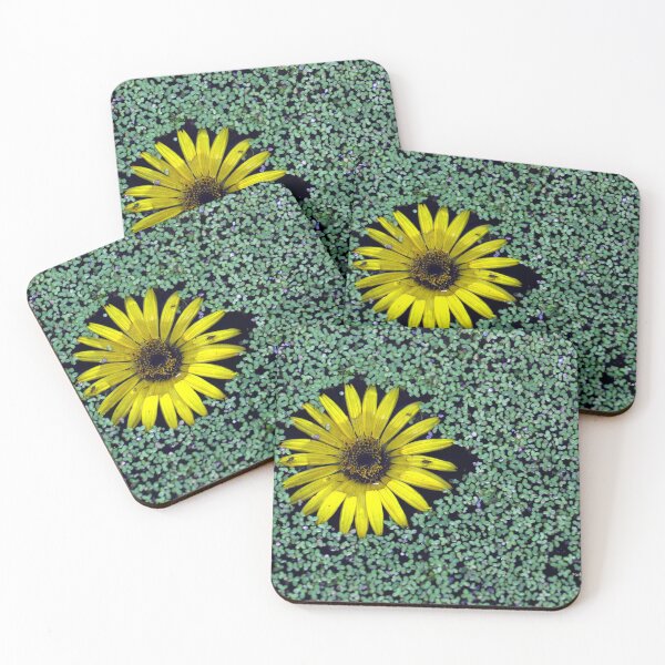 Item preview, Flor amarilla en lenteja de agua con tres pequeños errores designed and sold by mark-bugs-org.