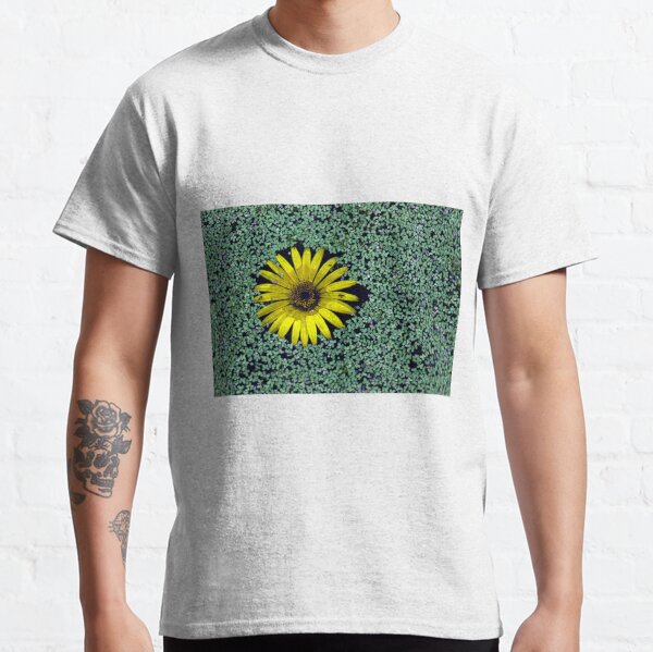 Yellow Flower in Duckweed with Three Little BUGS Classic T-Shirt
