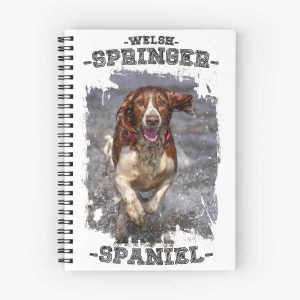 Item preview, Welsh Springer Spaniel photo designed and sold by bdws.