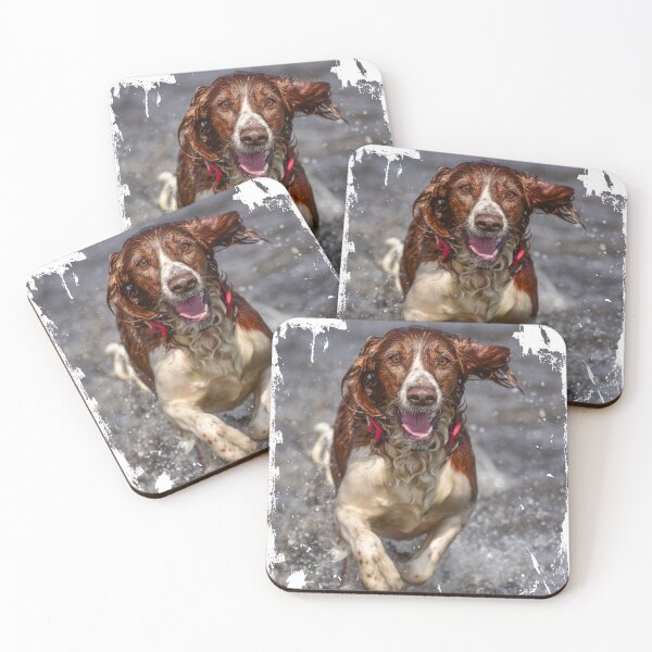 Item preview, Welsh Springer Spaniel photo designed and sold by bdws.