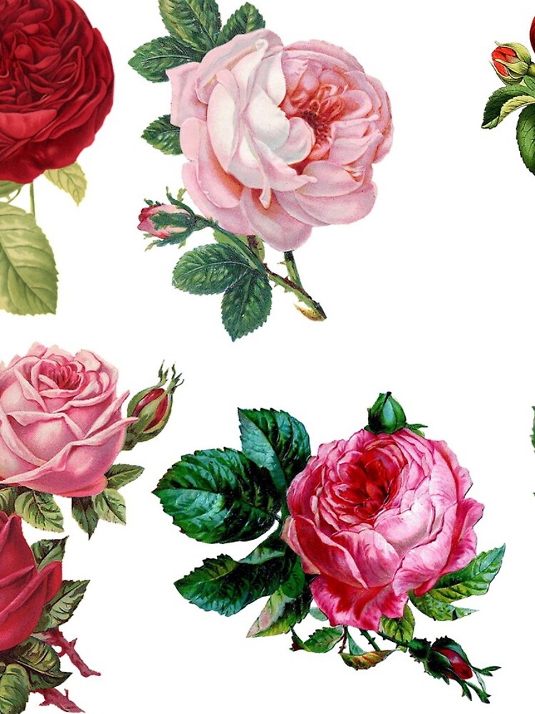 Thumbnail 4 of 4, iPhone Case, Beautiful Roses designed and sold by robspencer.