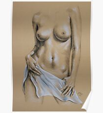 Sheer #5 Poster