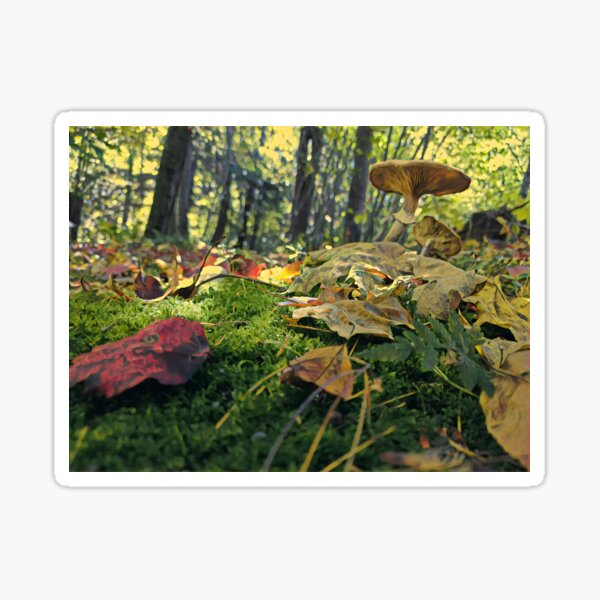 Shroom Sticker