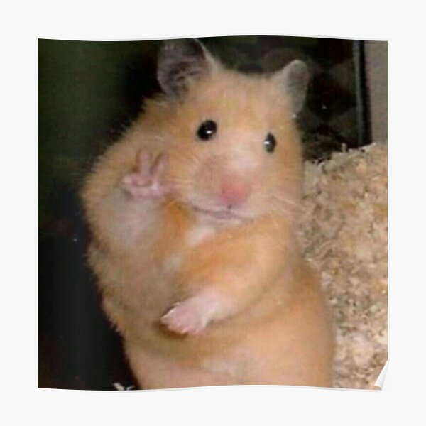 “hamster peace sign meme” Poster for Sale by SAVAGEwav | Redbubble